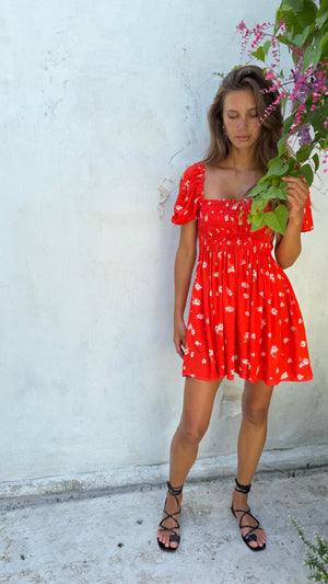 VIDA RED DAISY LECOLLET