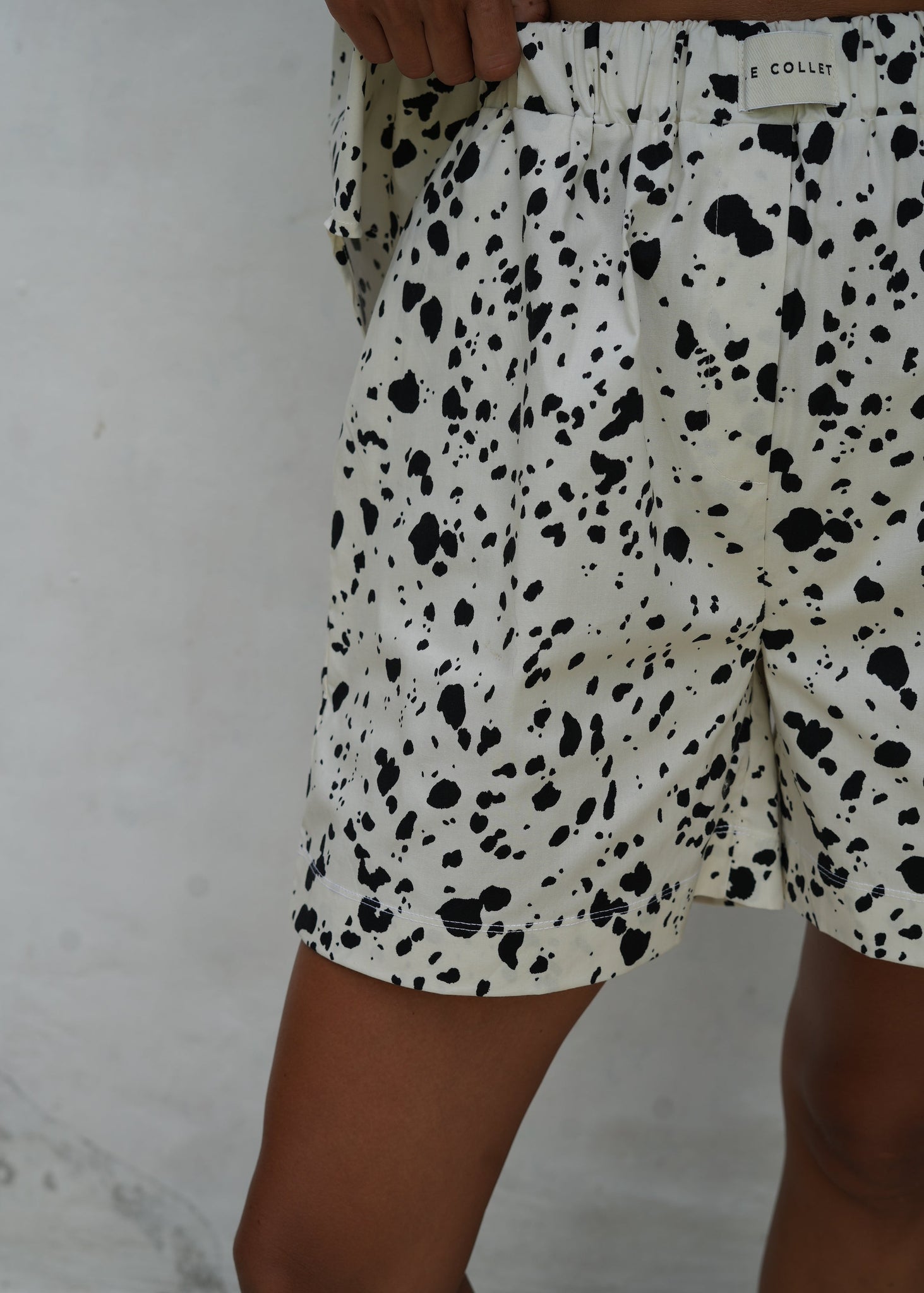 ZIA DALMATA LECOLLET