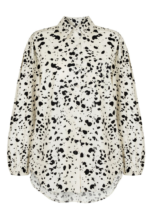 MONS II DALMATA LECOLLET