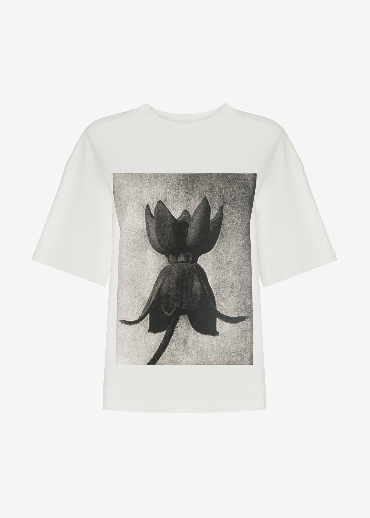 T-SHIRT GABRIELLE LIGHT ECRU LECOLLET