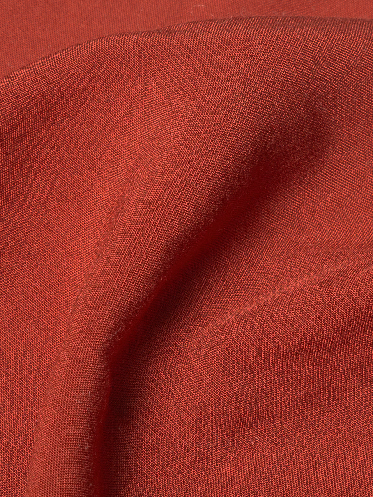 SALVIA RED LECOLLET