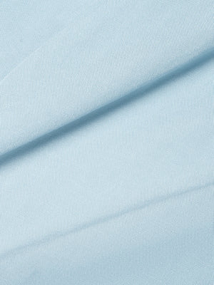 SALVIA LIGHT BLUE LECOLLET